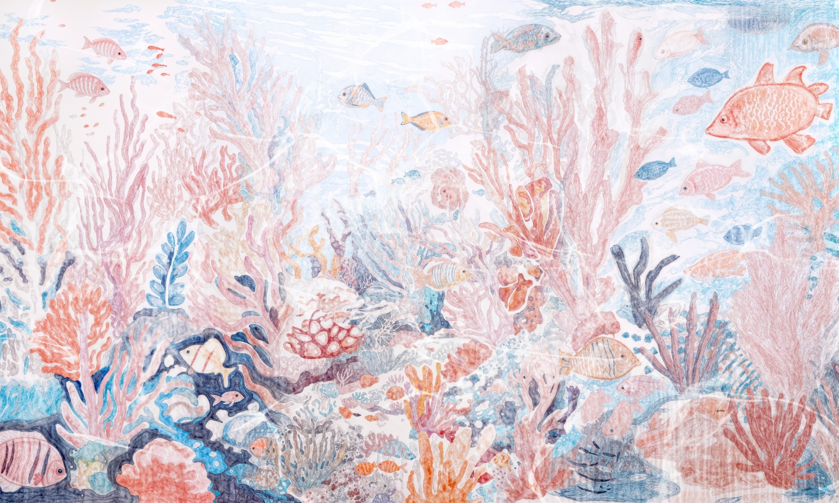 Aquarium – Dekorami