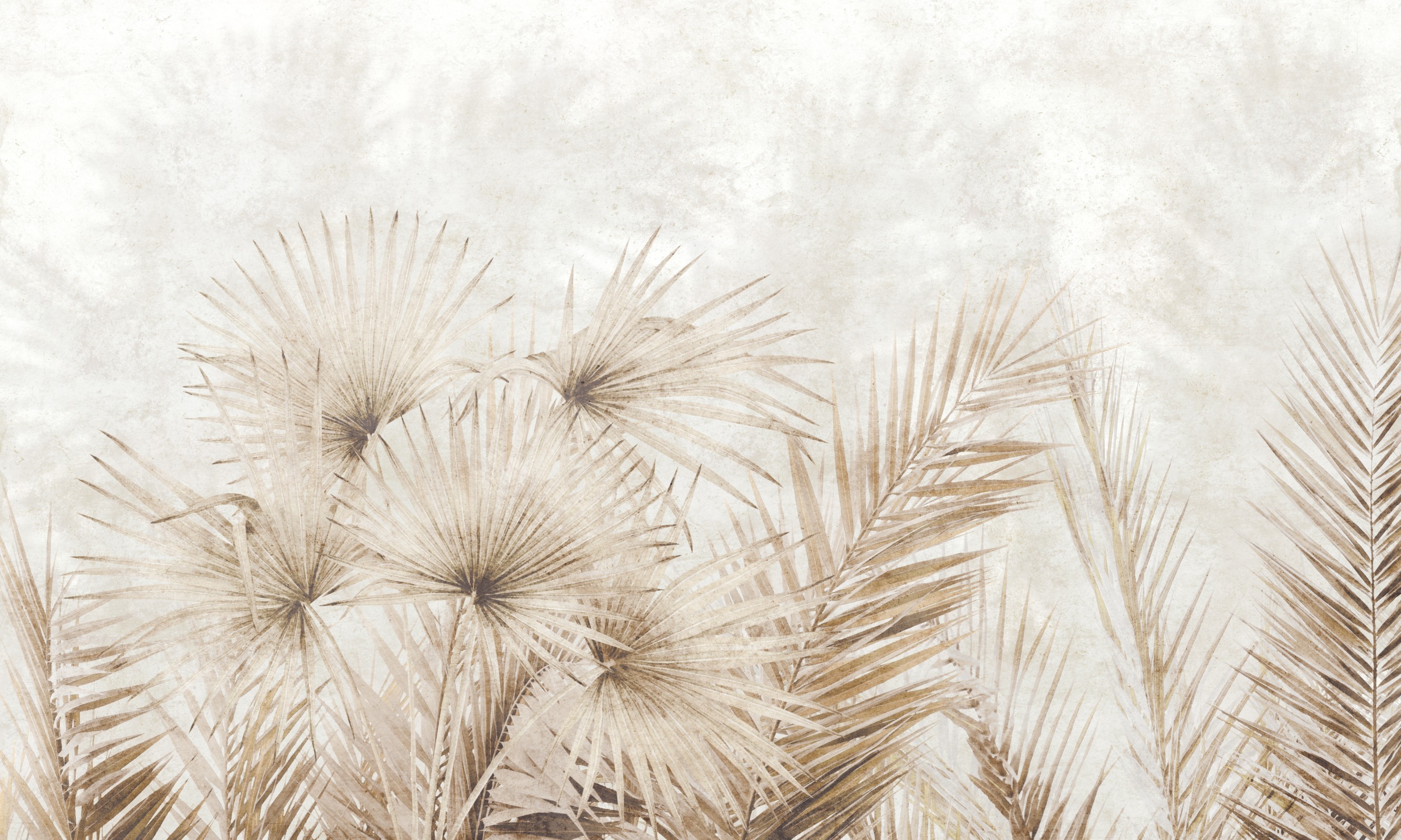 Tropical Wind – Dekorami