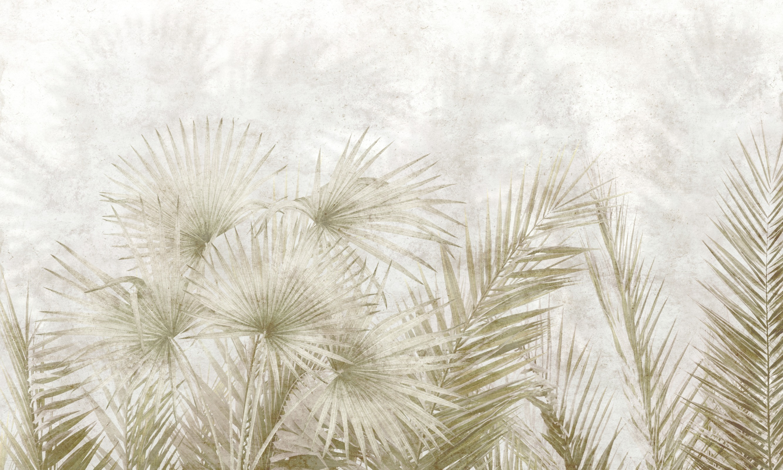 Tropical Wind – Dekorami