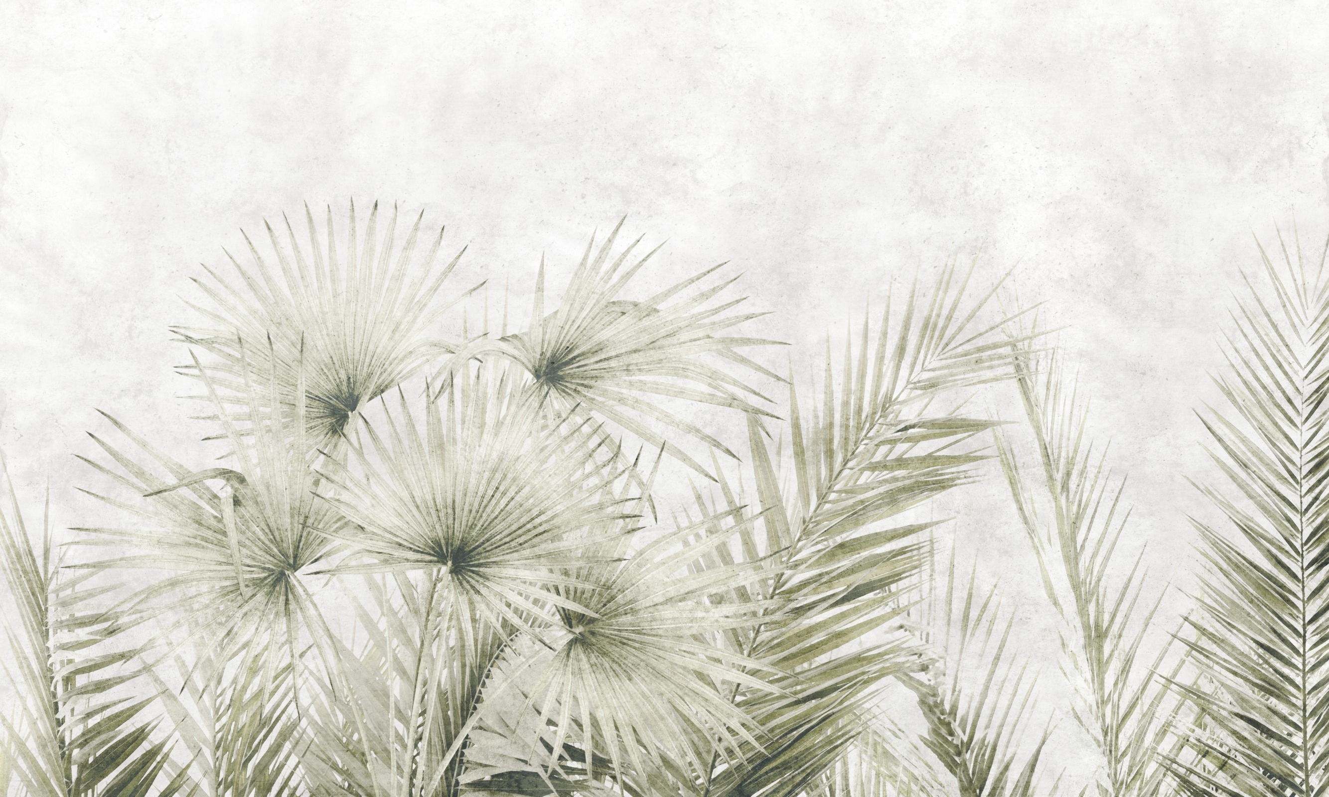 Tropical Wind – Dekorami