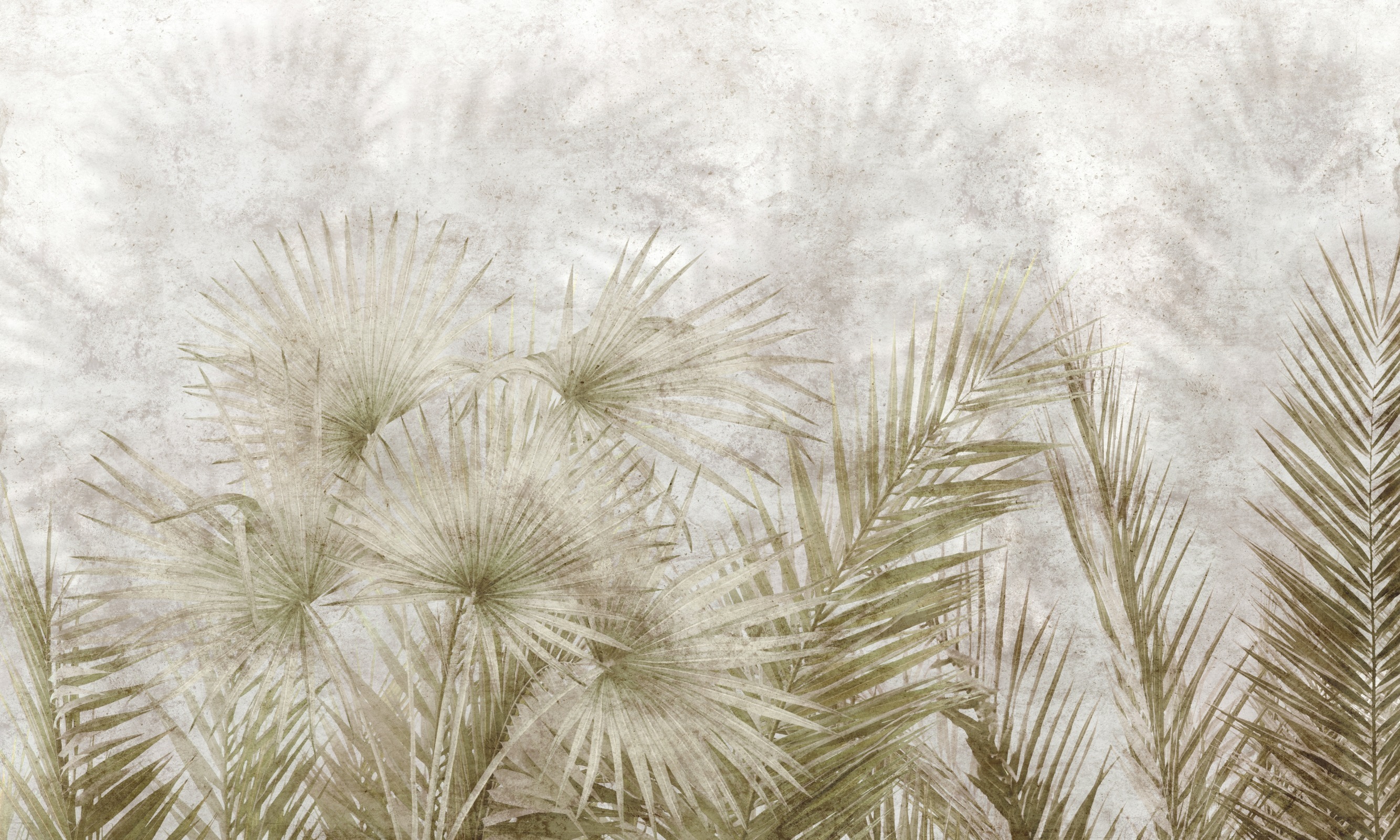 Tropical Wind – Dekorami