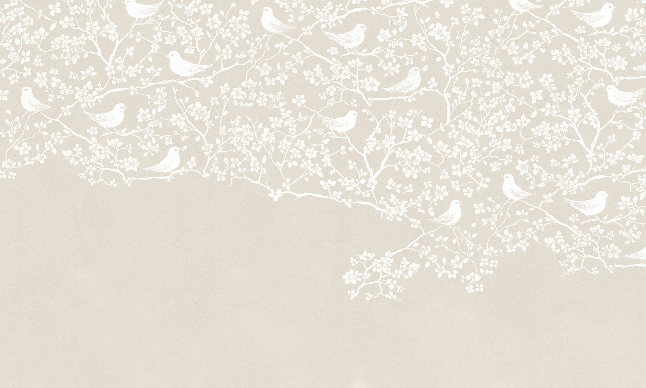 Birdy – Dekorami