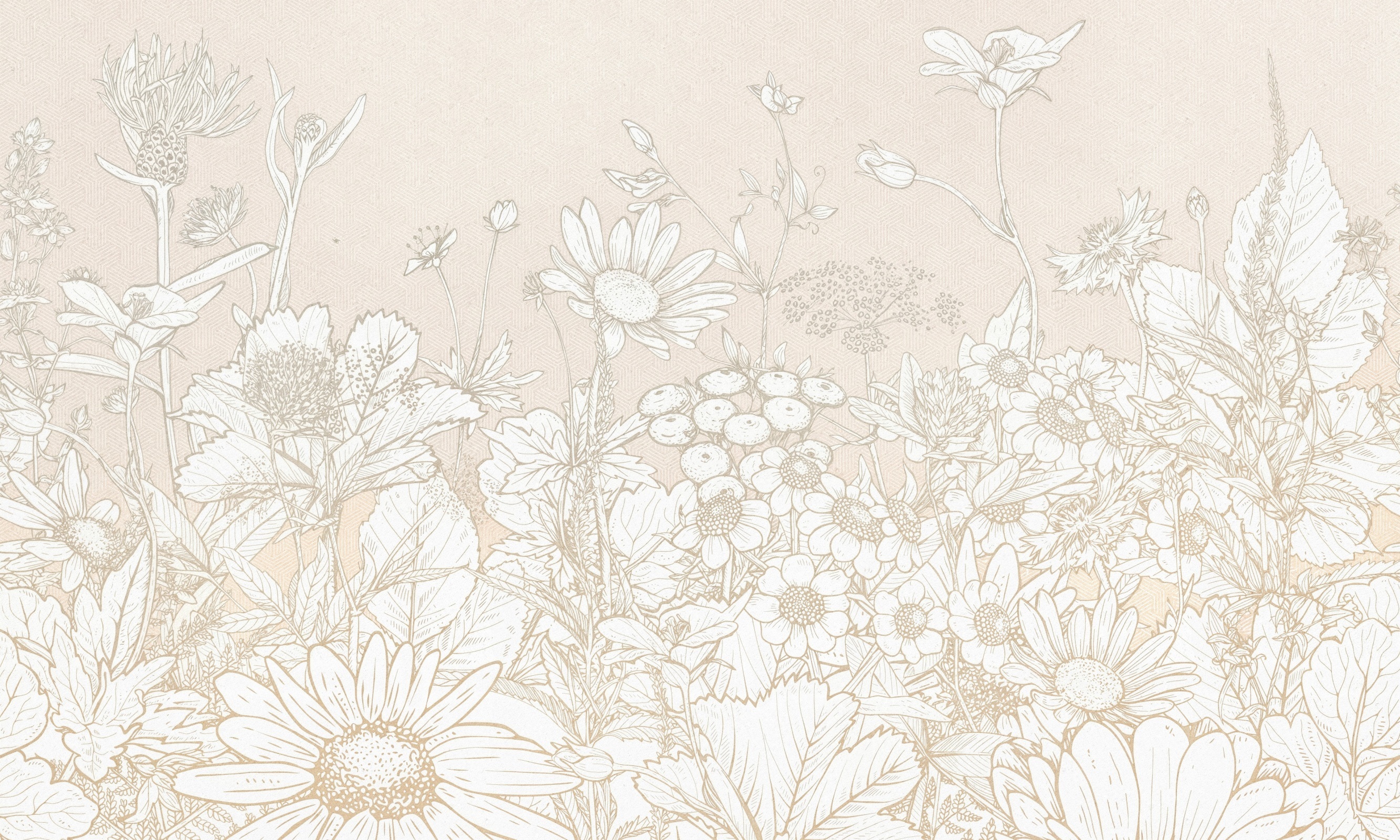 Daisy – Dekorami