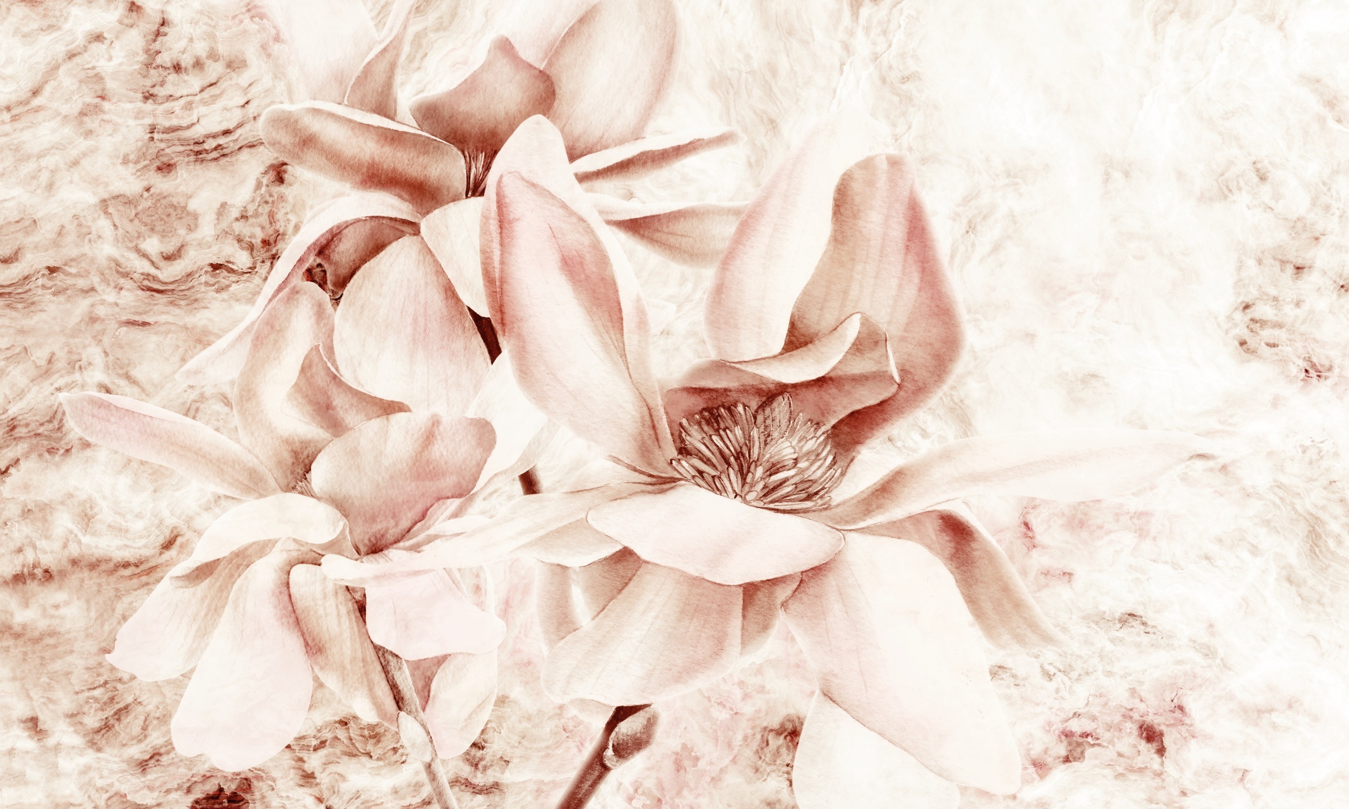 Look at me – Dekorami