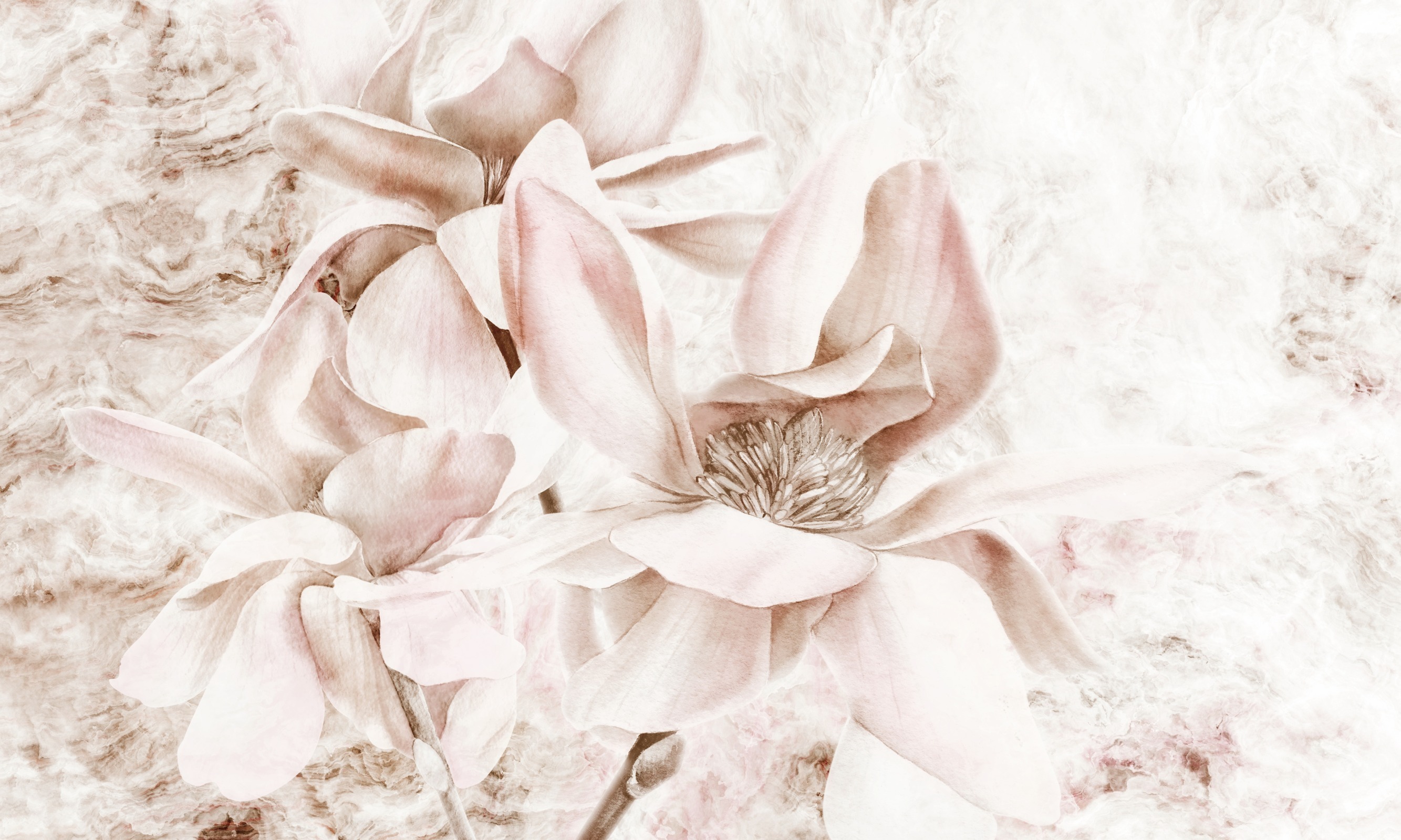 Look at me – Dekorami