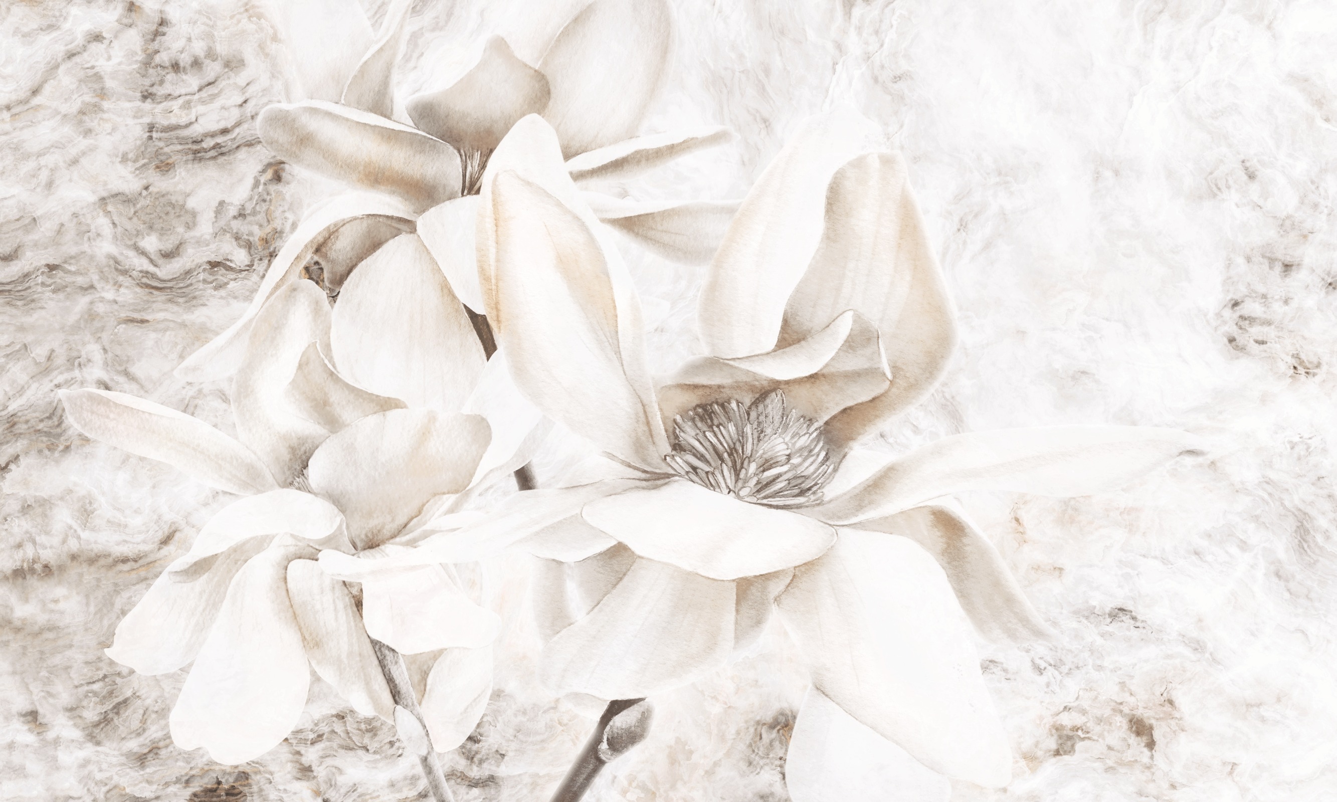 Look at me – Dekorami
