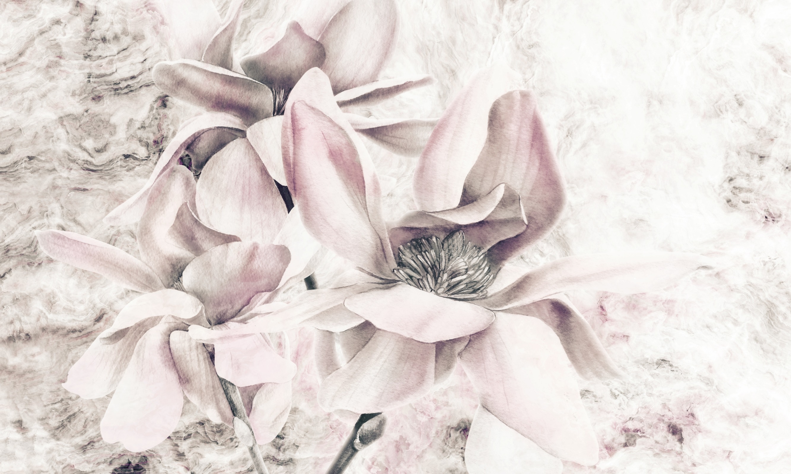Look at me – Dekorami