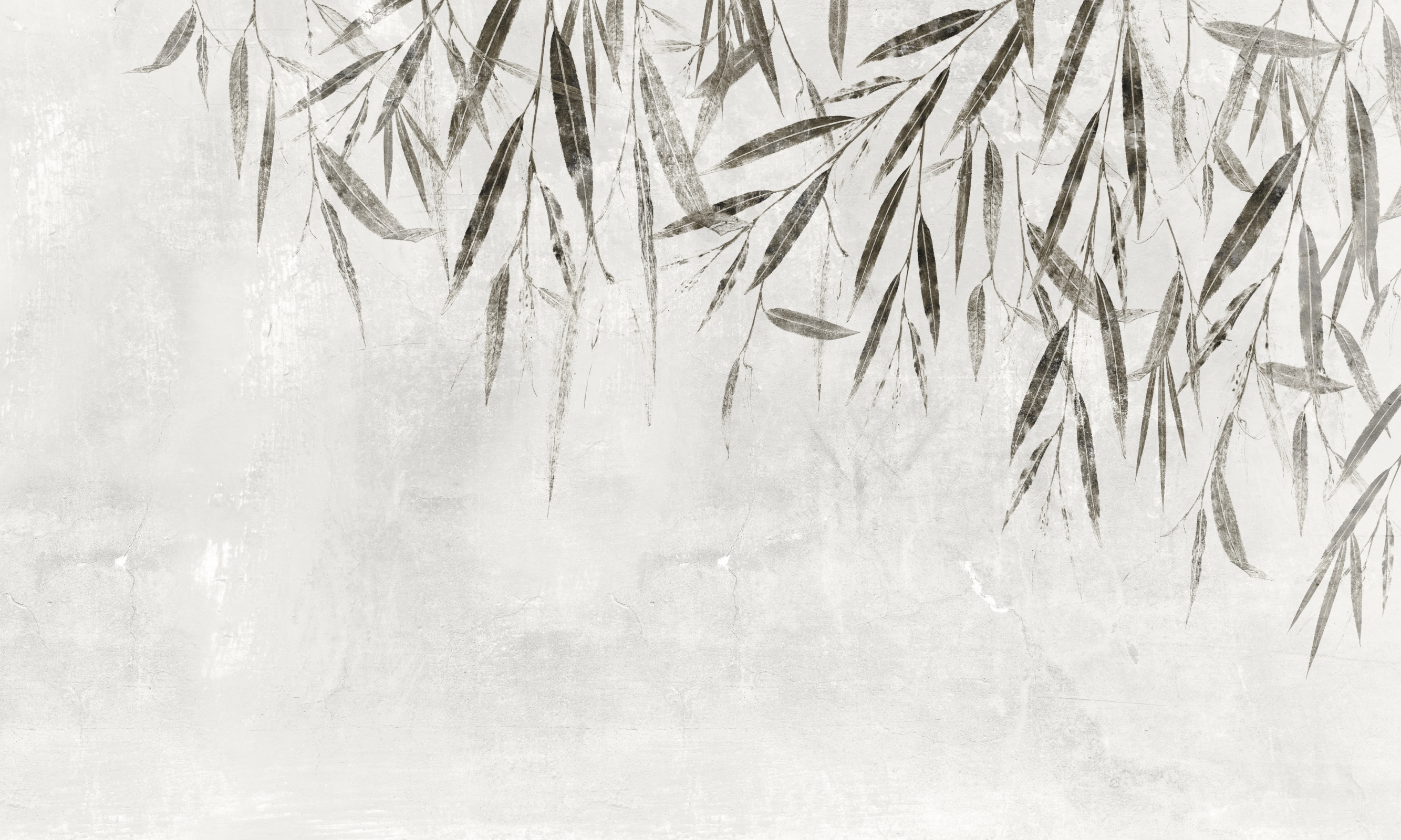 Willow 1