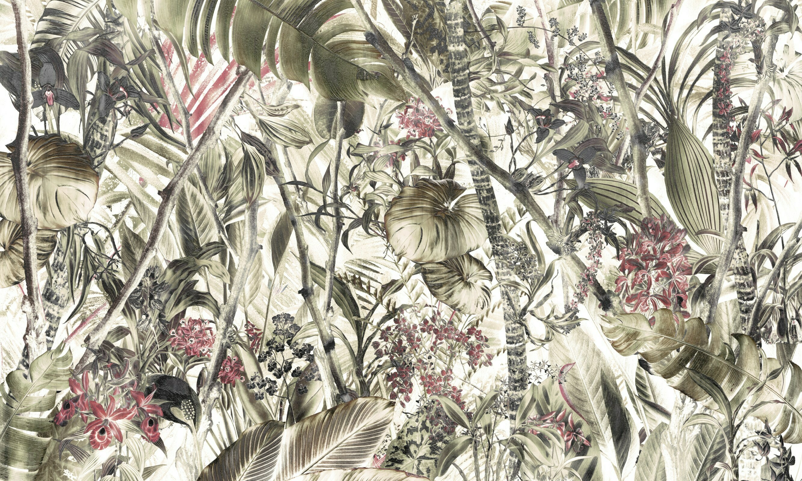 Amazonia 5