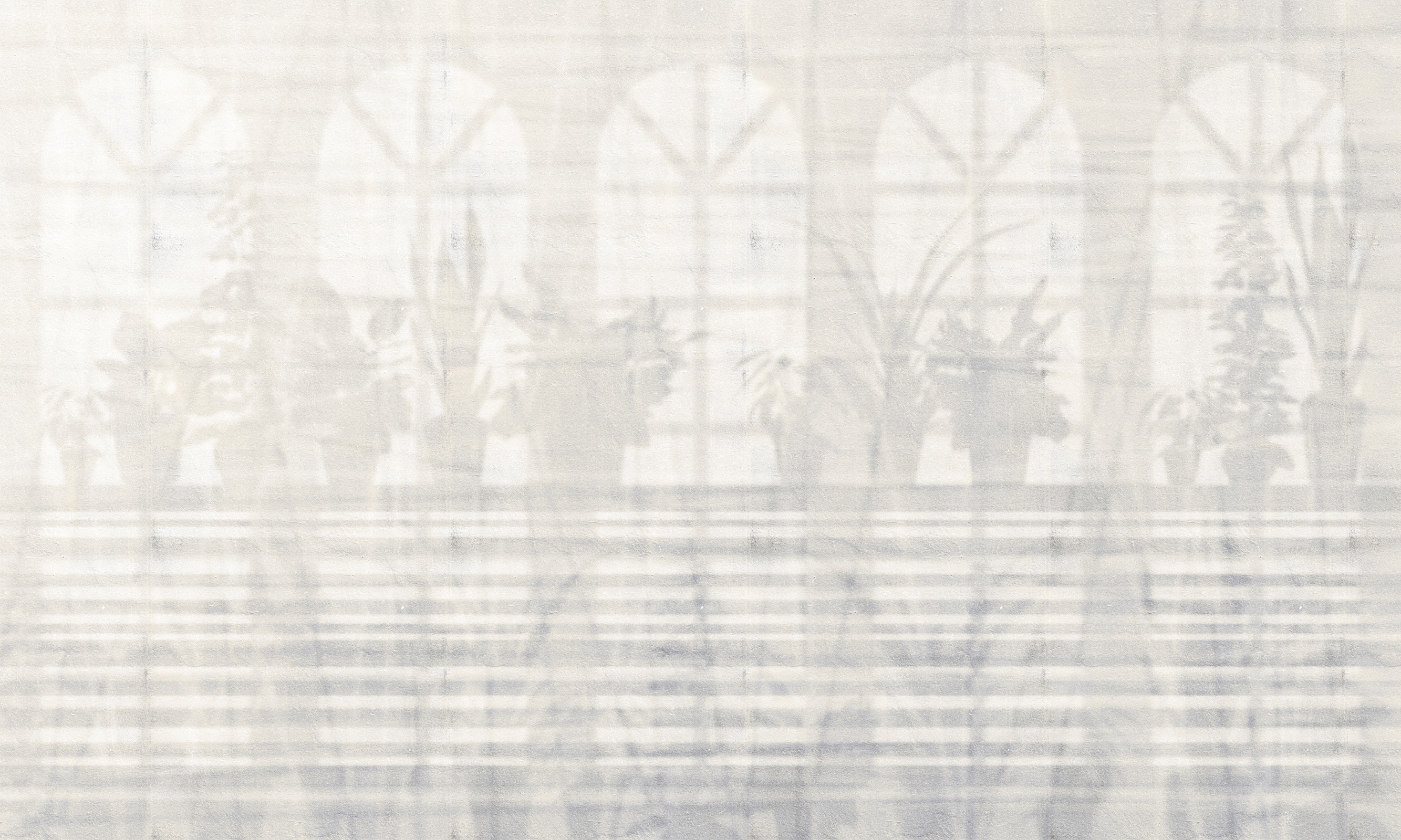 Shadow 5