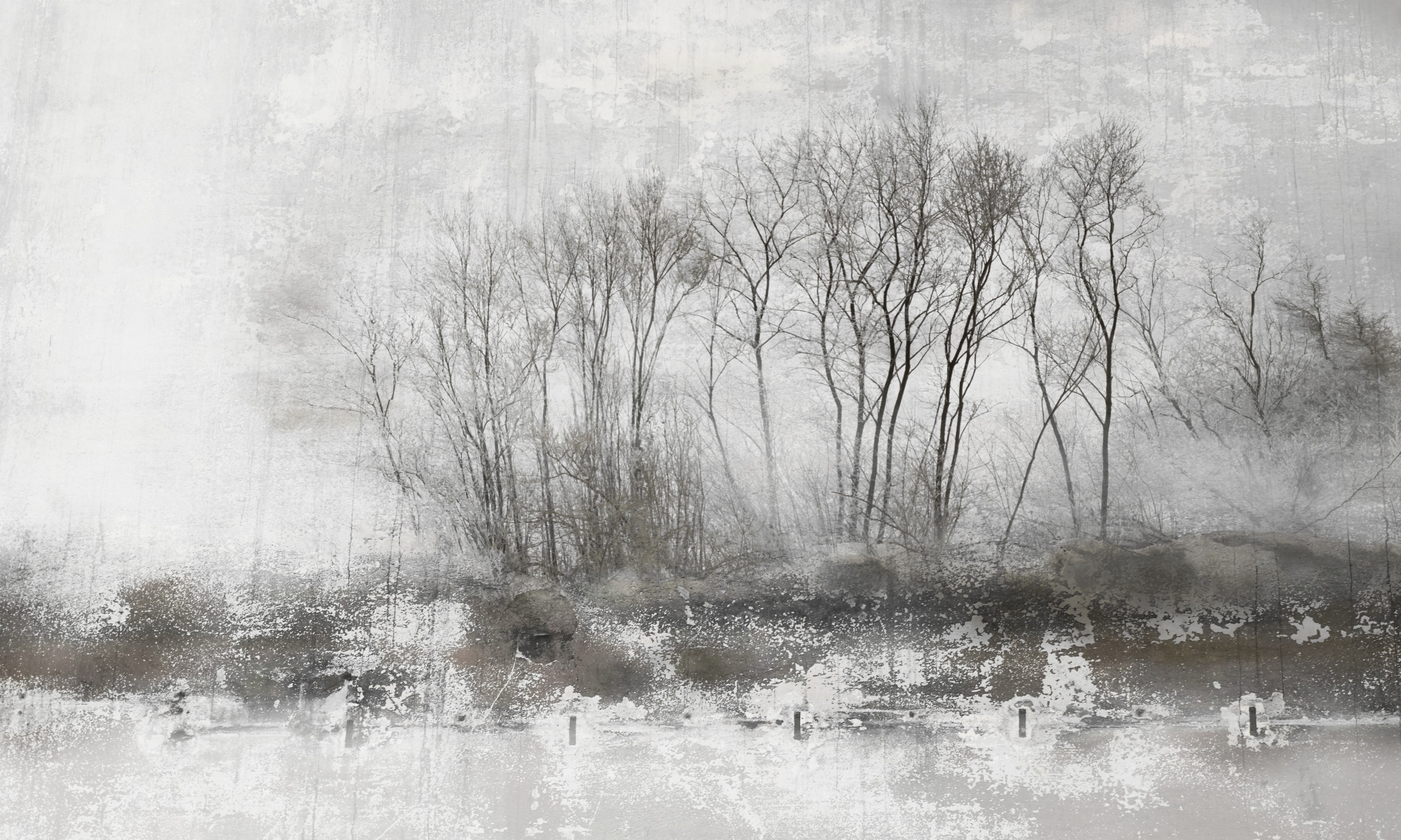 Nebbia 2