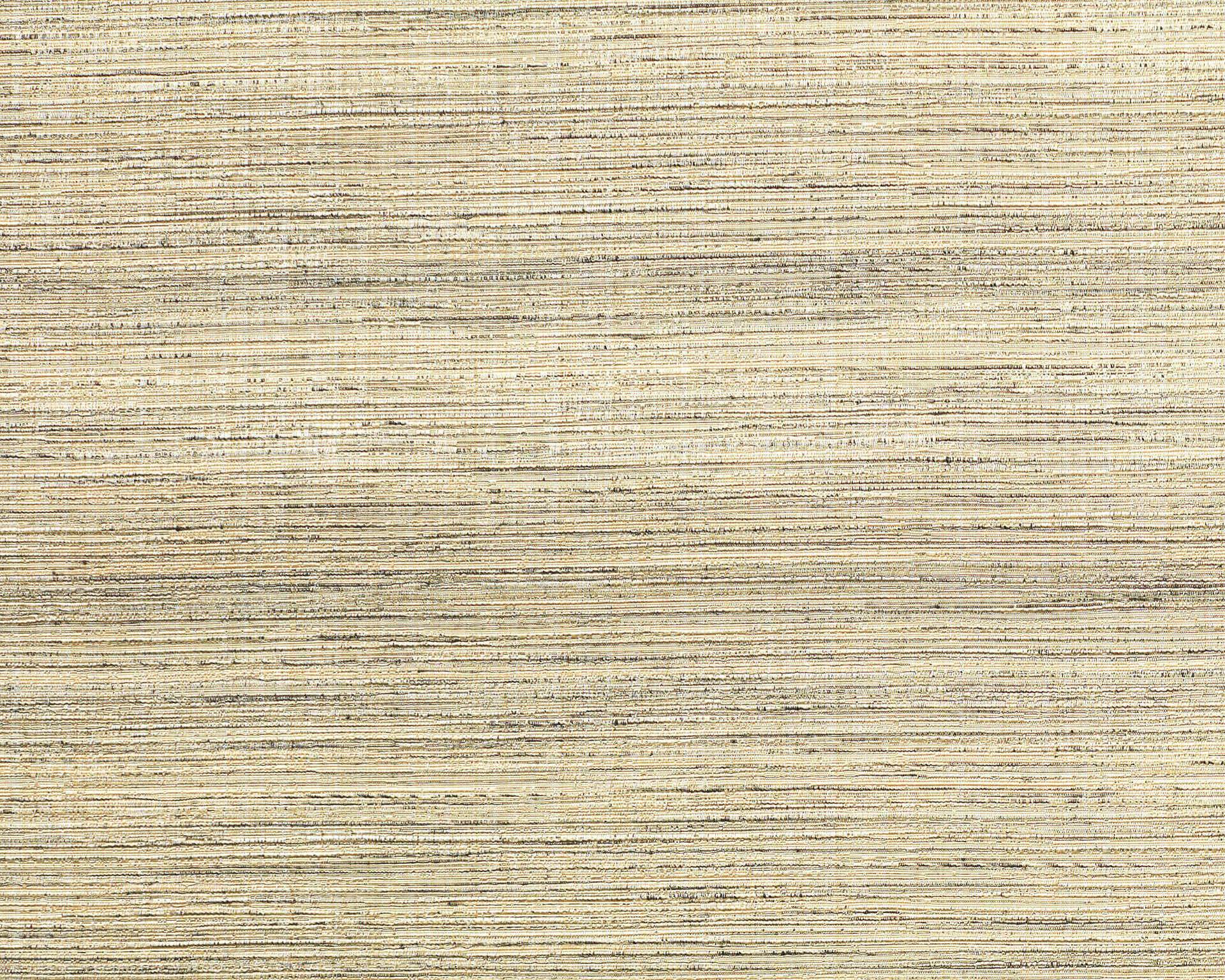 Capital 00