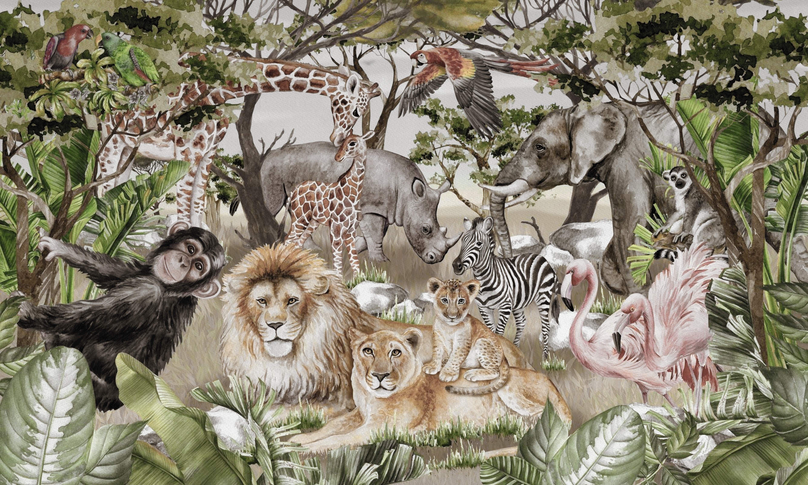 Safari N2