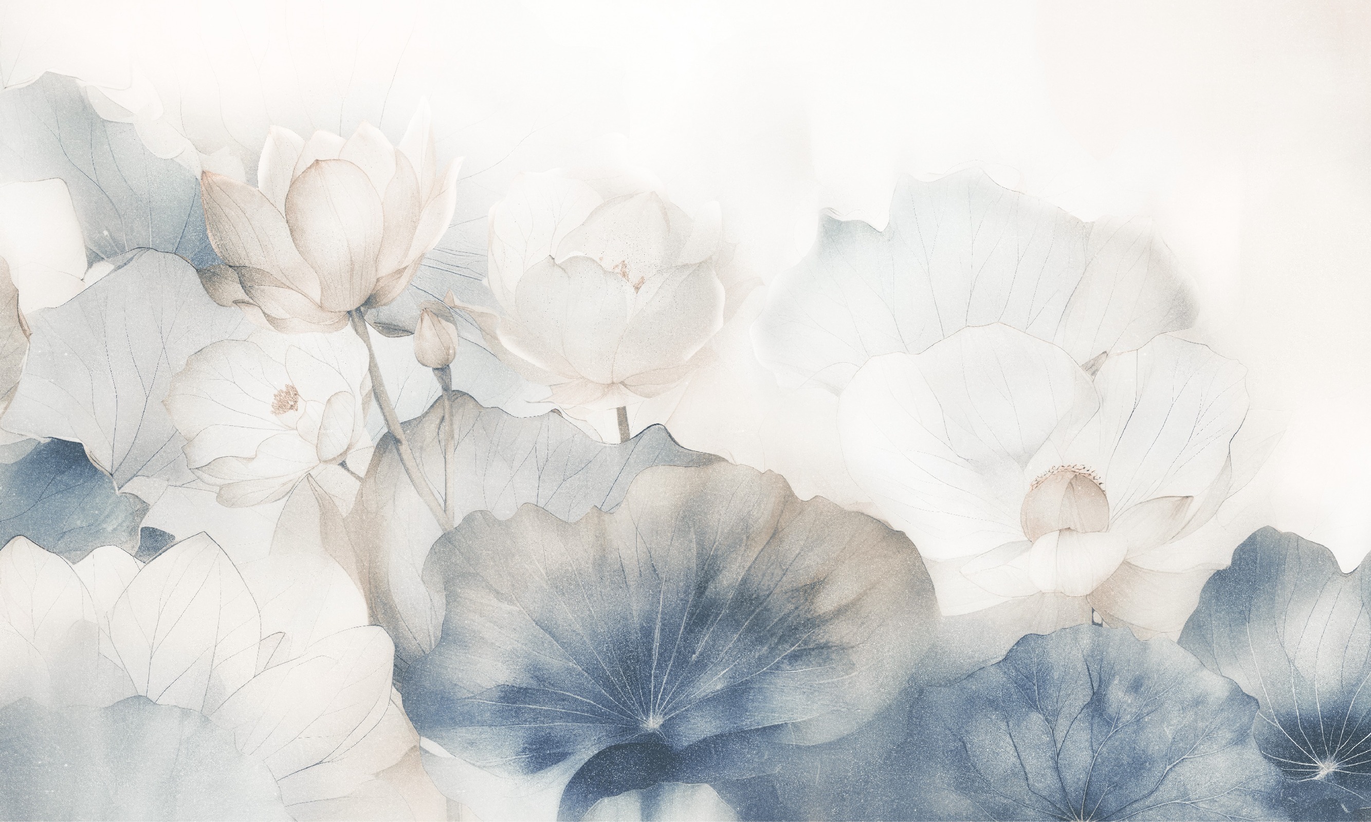 Dolce 4