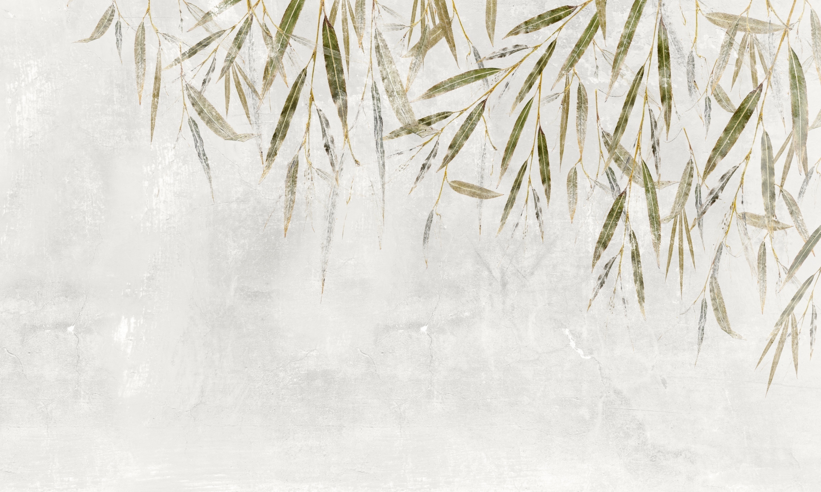 Willow 2