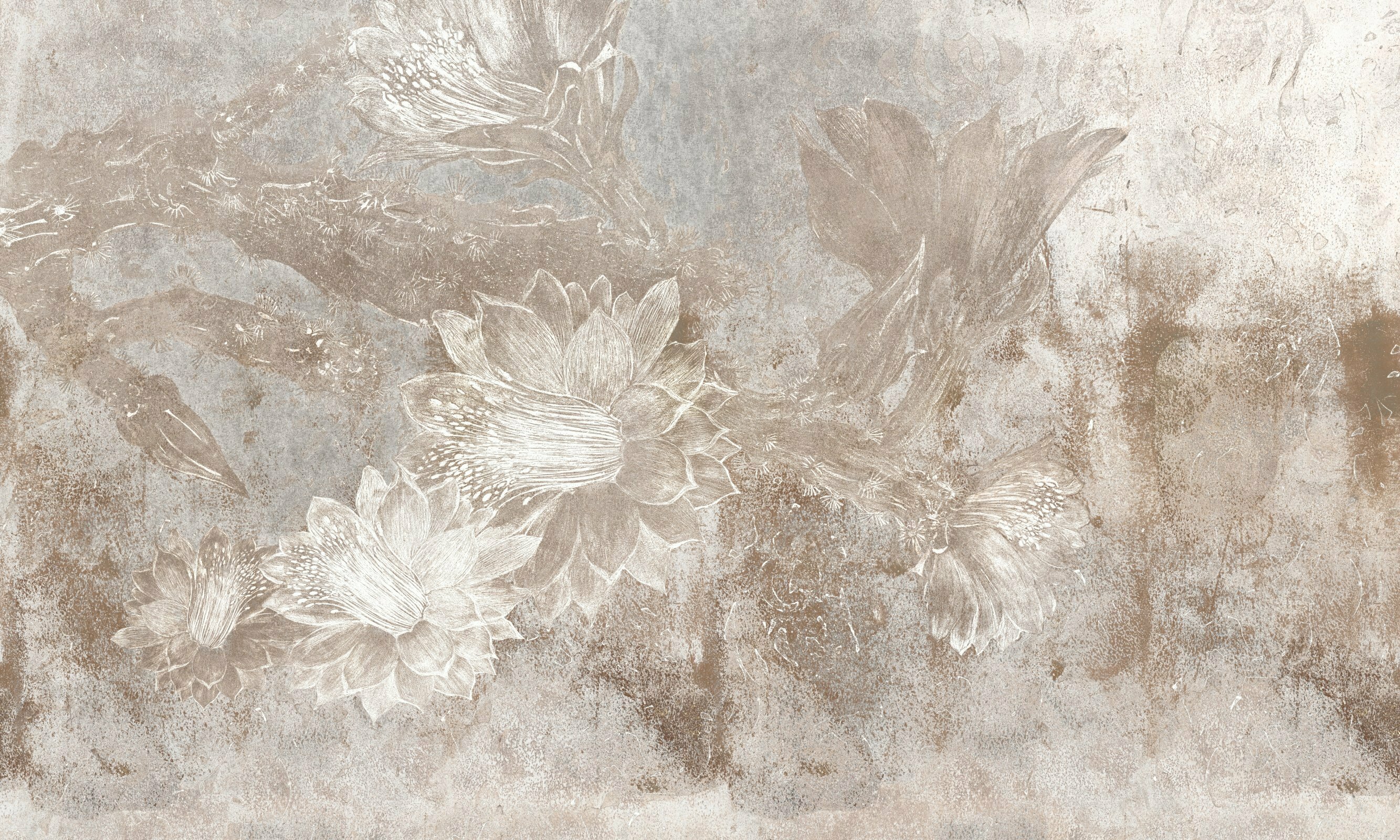Bloom 5