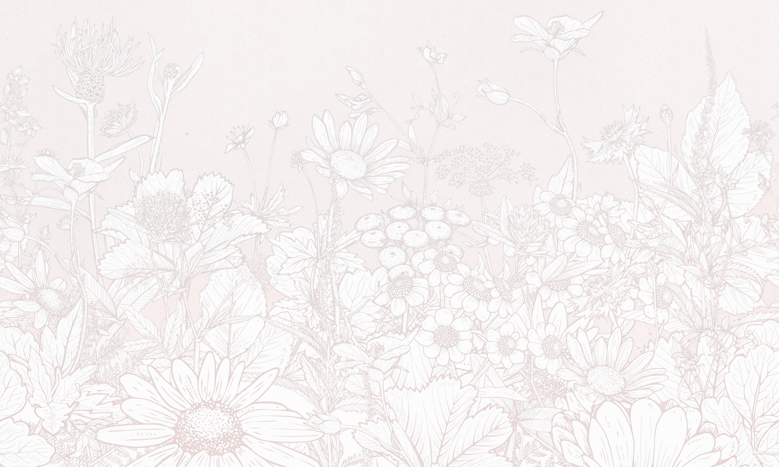 Daisy 2