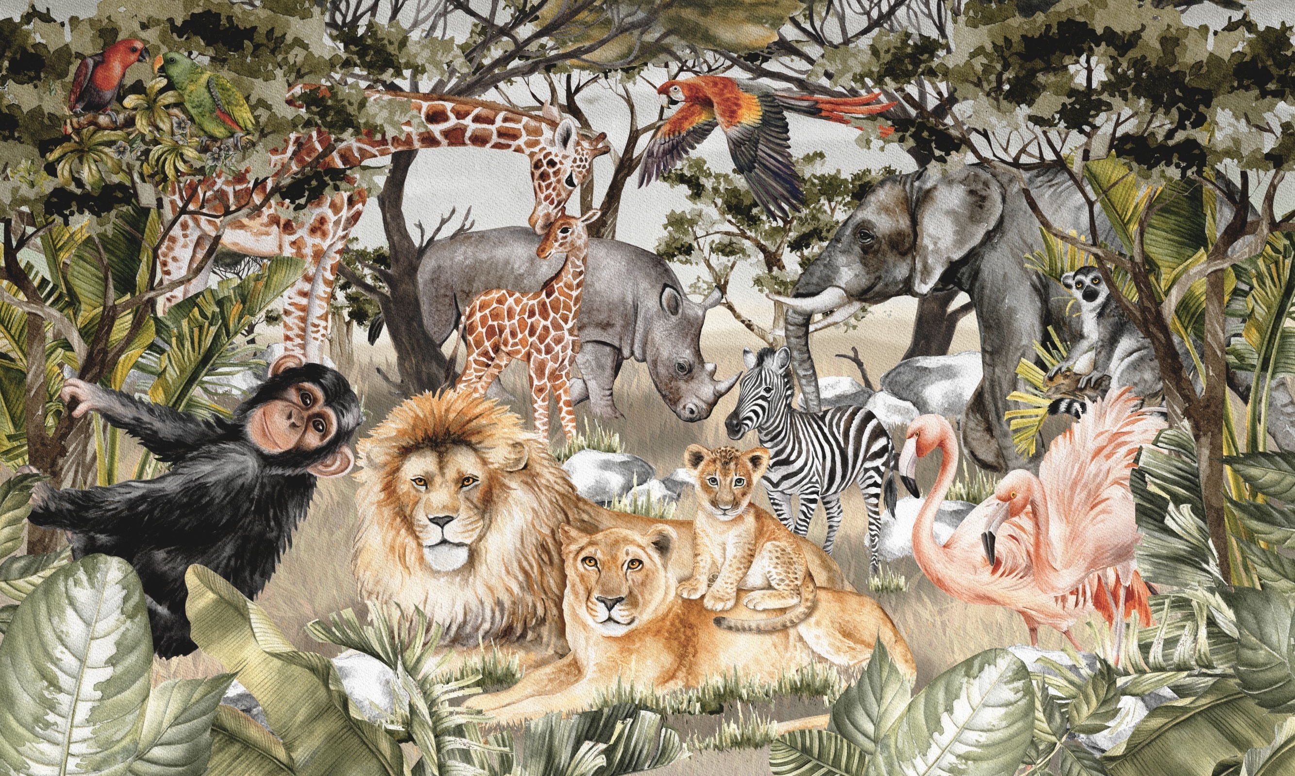Safari N3