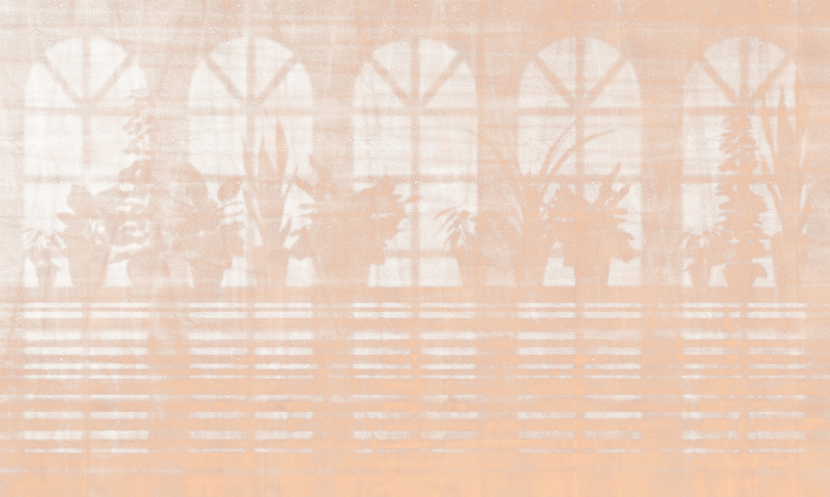 Shadow 3