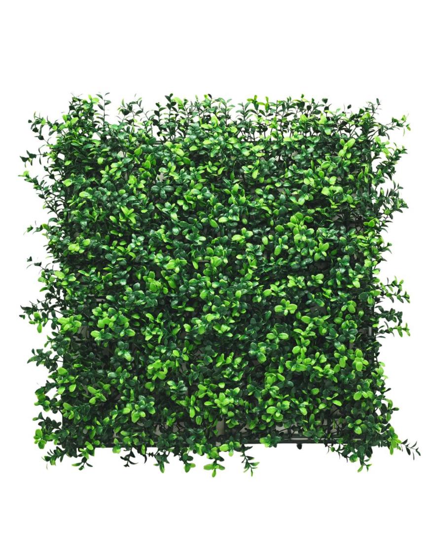 Panneau Végétal - Buis Anglais - Carton de 3 m² (12 pièces)