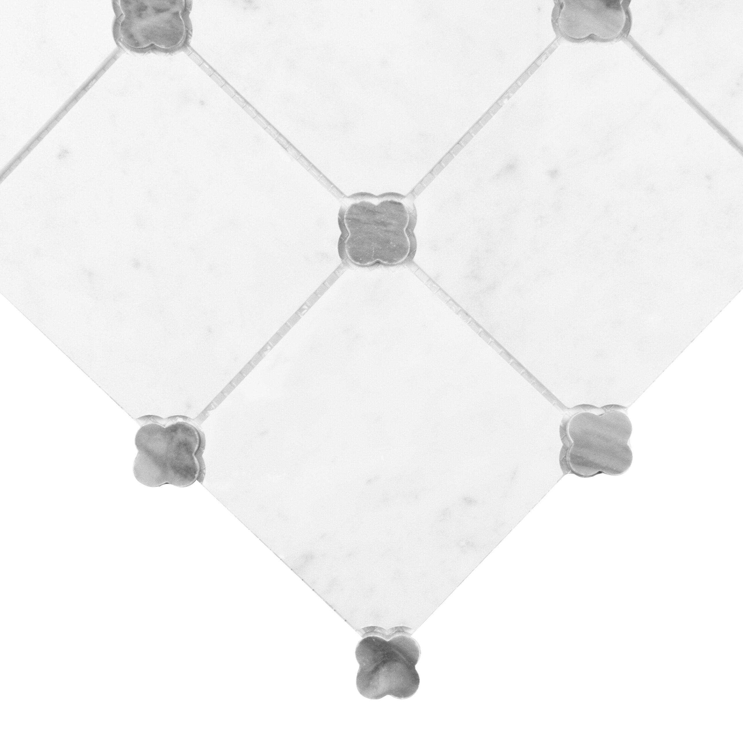 Carrara Octalux 100