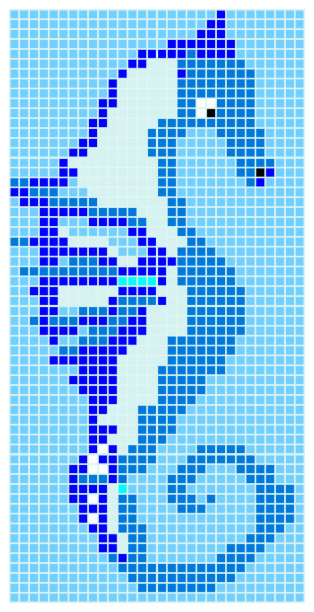 Q Sea Horse