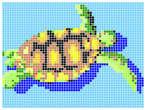 Tortuga Q