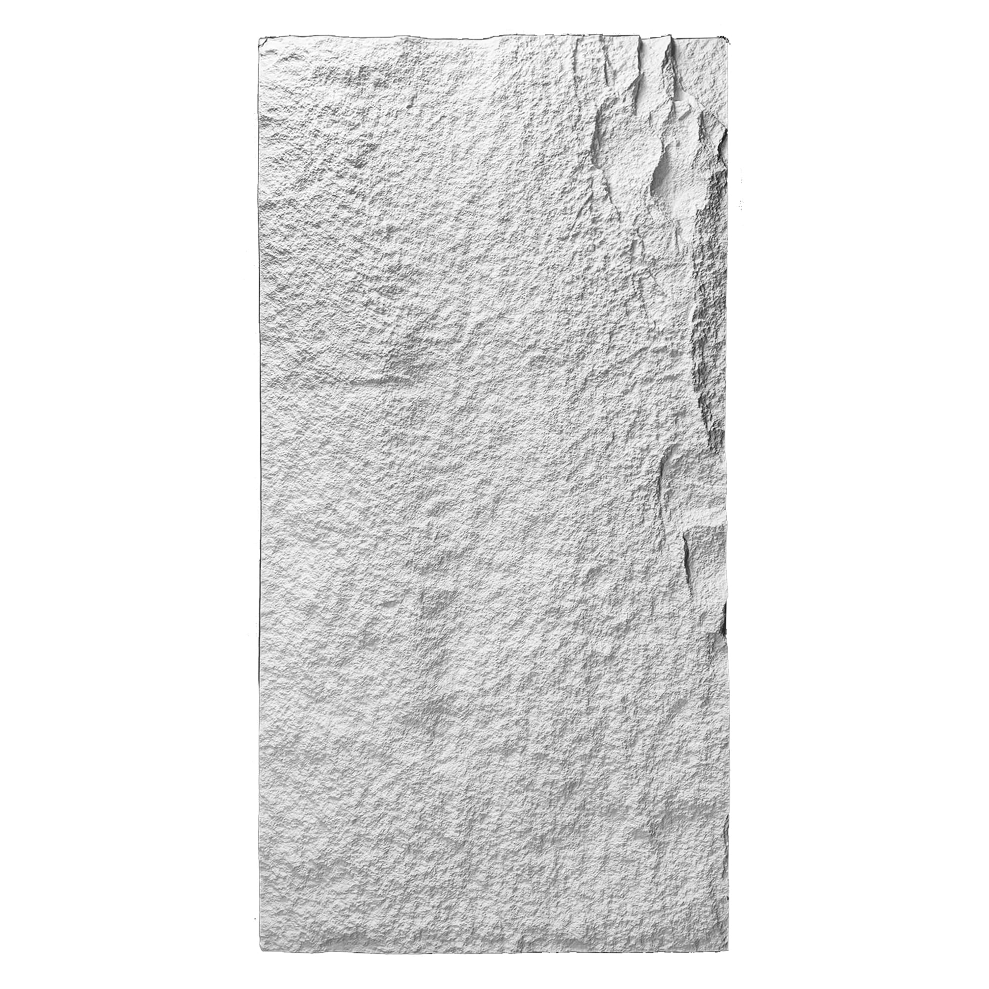 Panneau mural en polyuréthane FUJI S3 60x120cm
