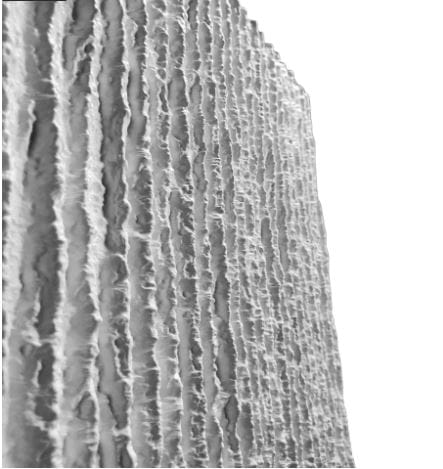 Panneau mural en polyuréthane Mitchell 60x120cm – Easy Stones