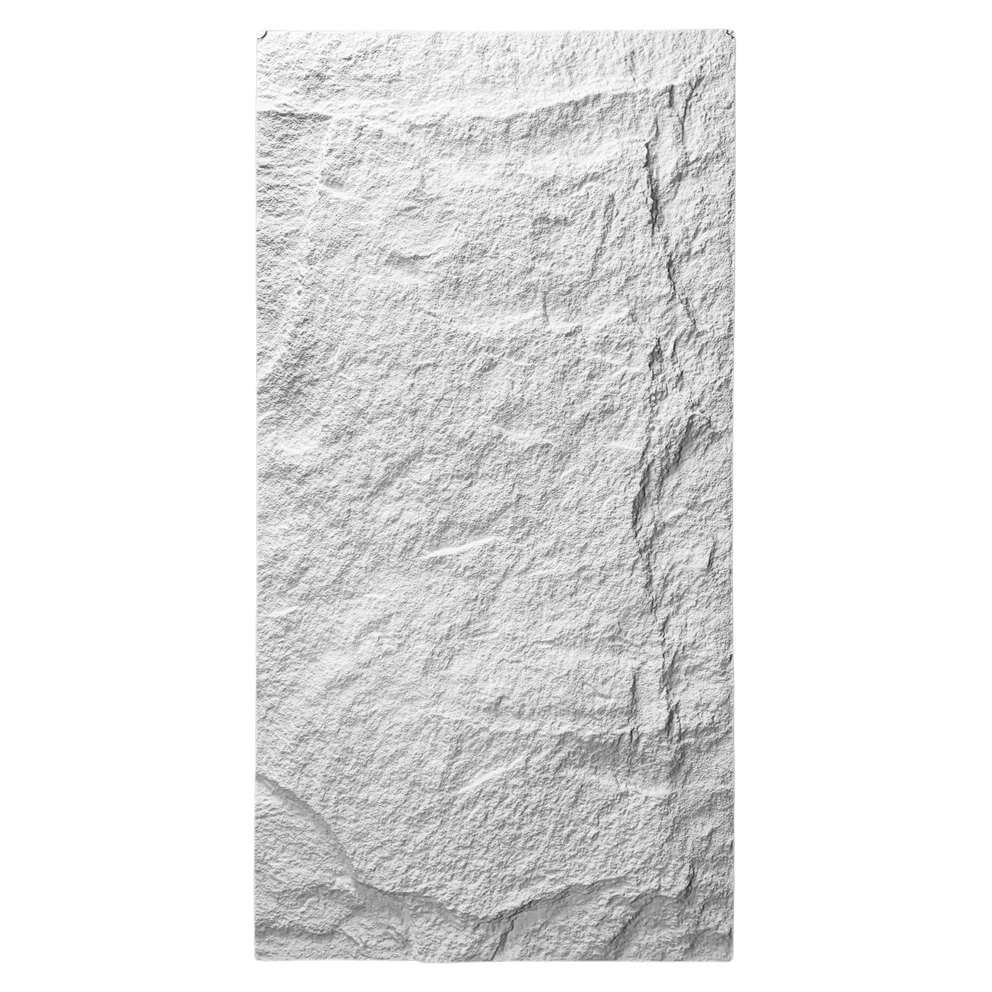 Panneau mural en polyuréthane EVEREST S12 60x120cm