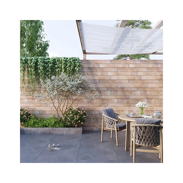 carreau-de-ciment-deska-11-5x100-sc018dre020