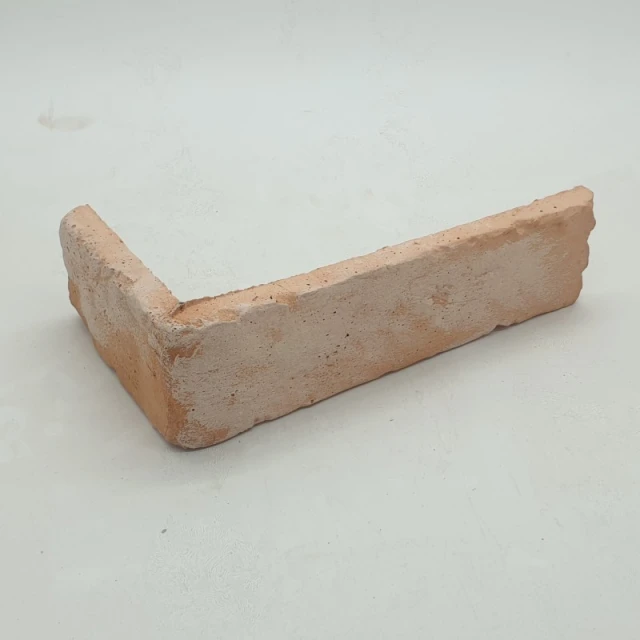 carrelage-d-angle-en-brique-ancienne-vieux-vernis-sn001skl015