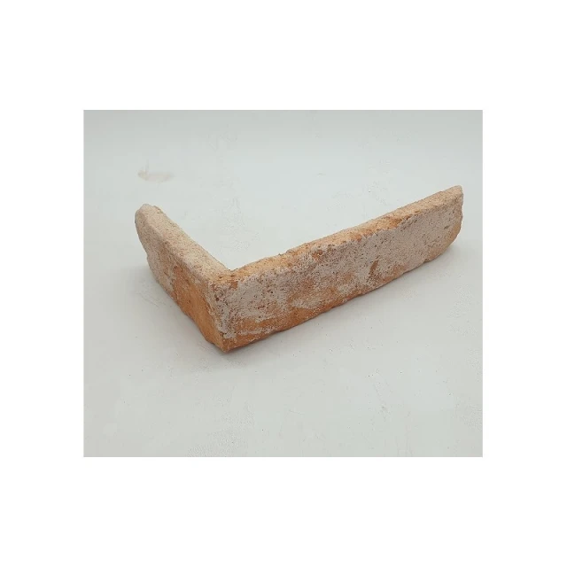 carrelage-d-angle-en-brique-ancienne-vieux-vernis-sn001skl015