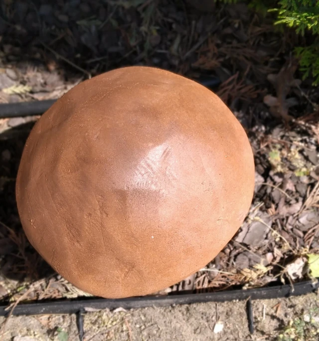 decor-champignon-gros-champignon-491