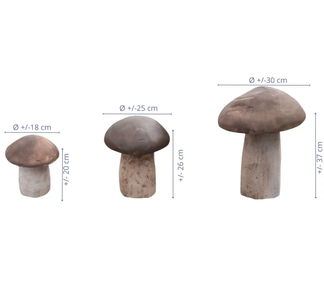 decor-champignon-gros-champignon-491