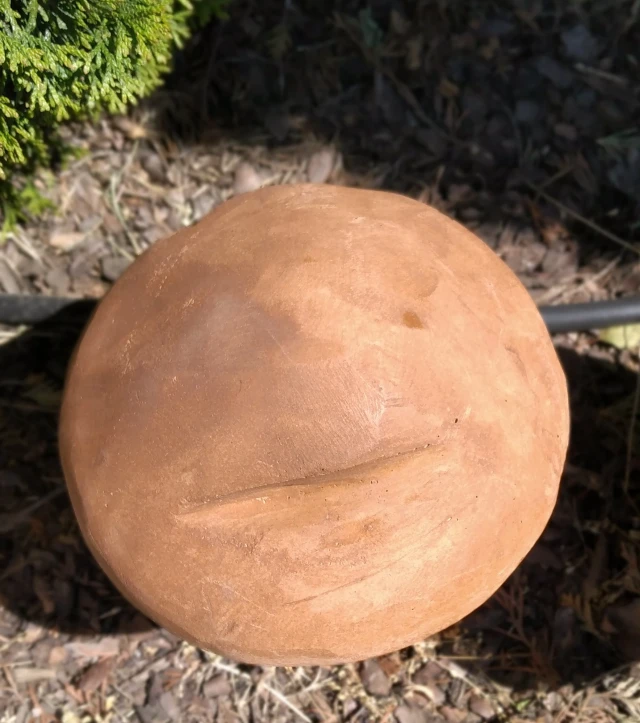 decor-champignon-gros-champignon-491