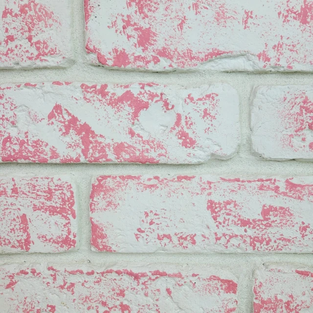 Rose pastel blanchi