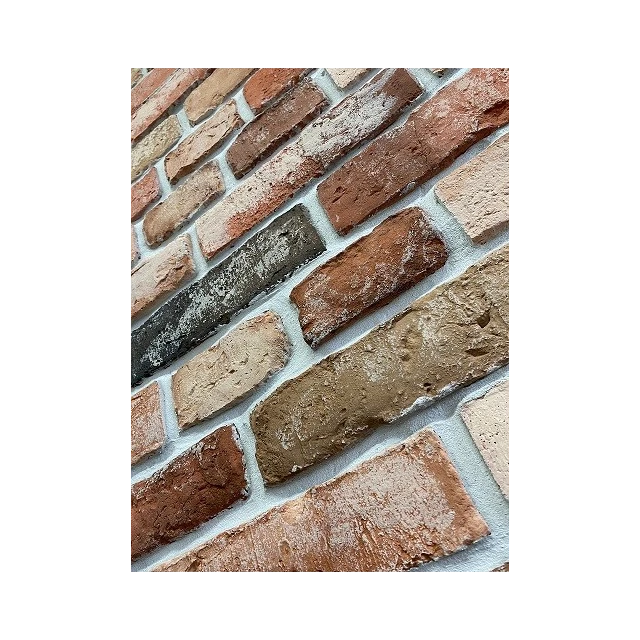vieux-classique-polonais-sc001skl015