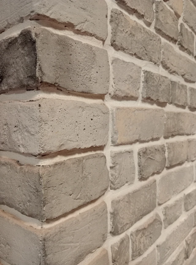 vieux-gris-polonais-sc001ssz015