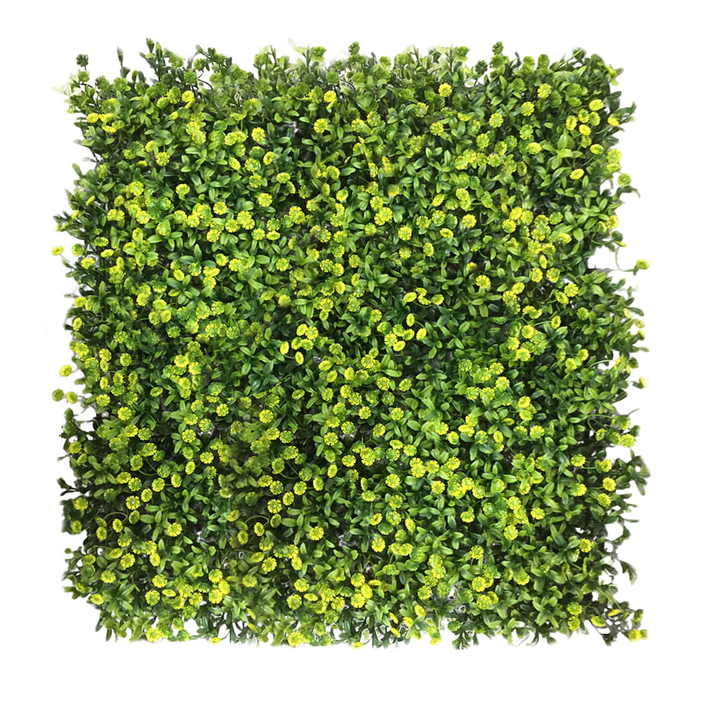 Mur végétal Grain 50x50cm