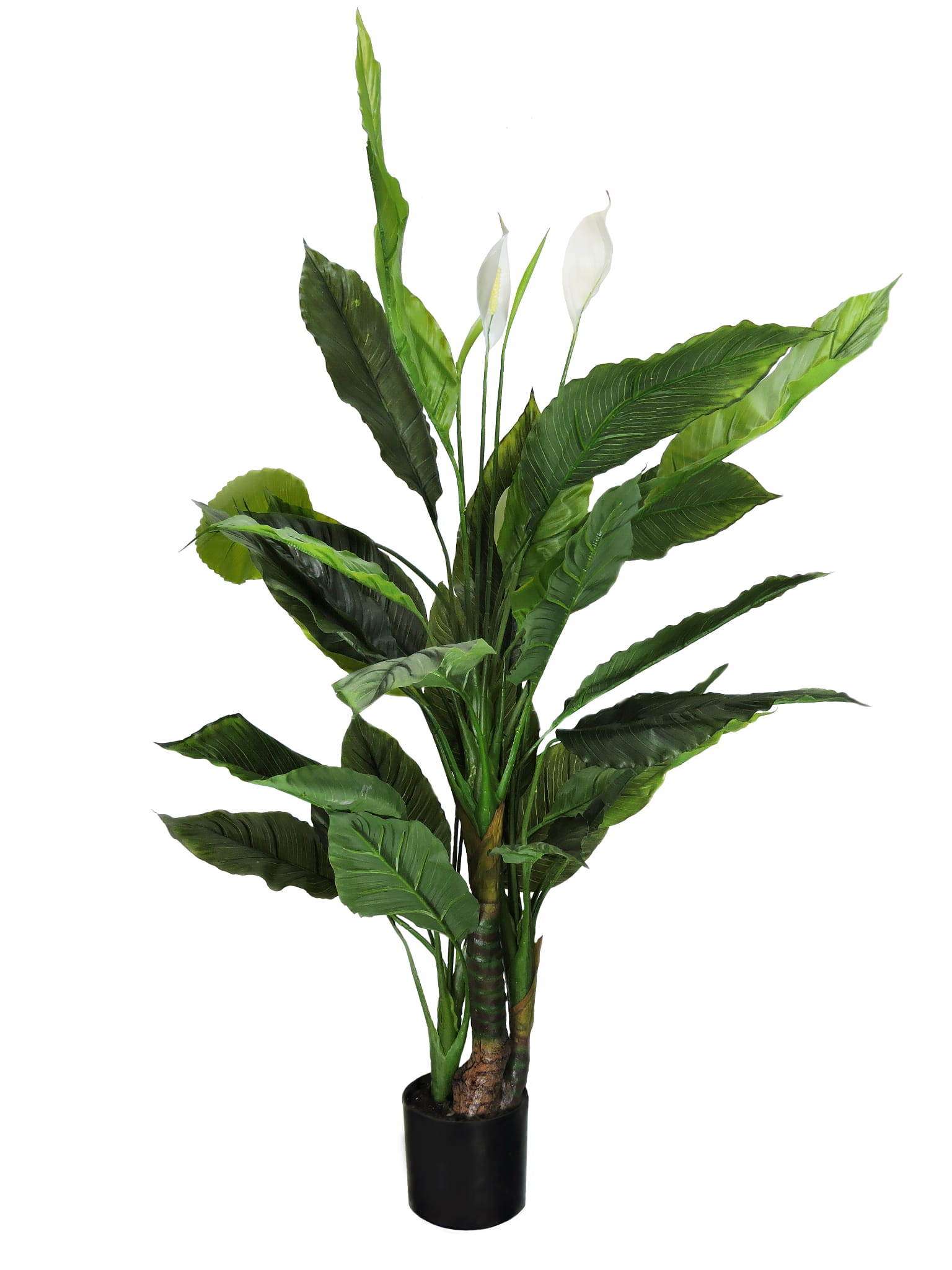 Plante décorative Spathiphyllum 120 cm