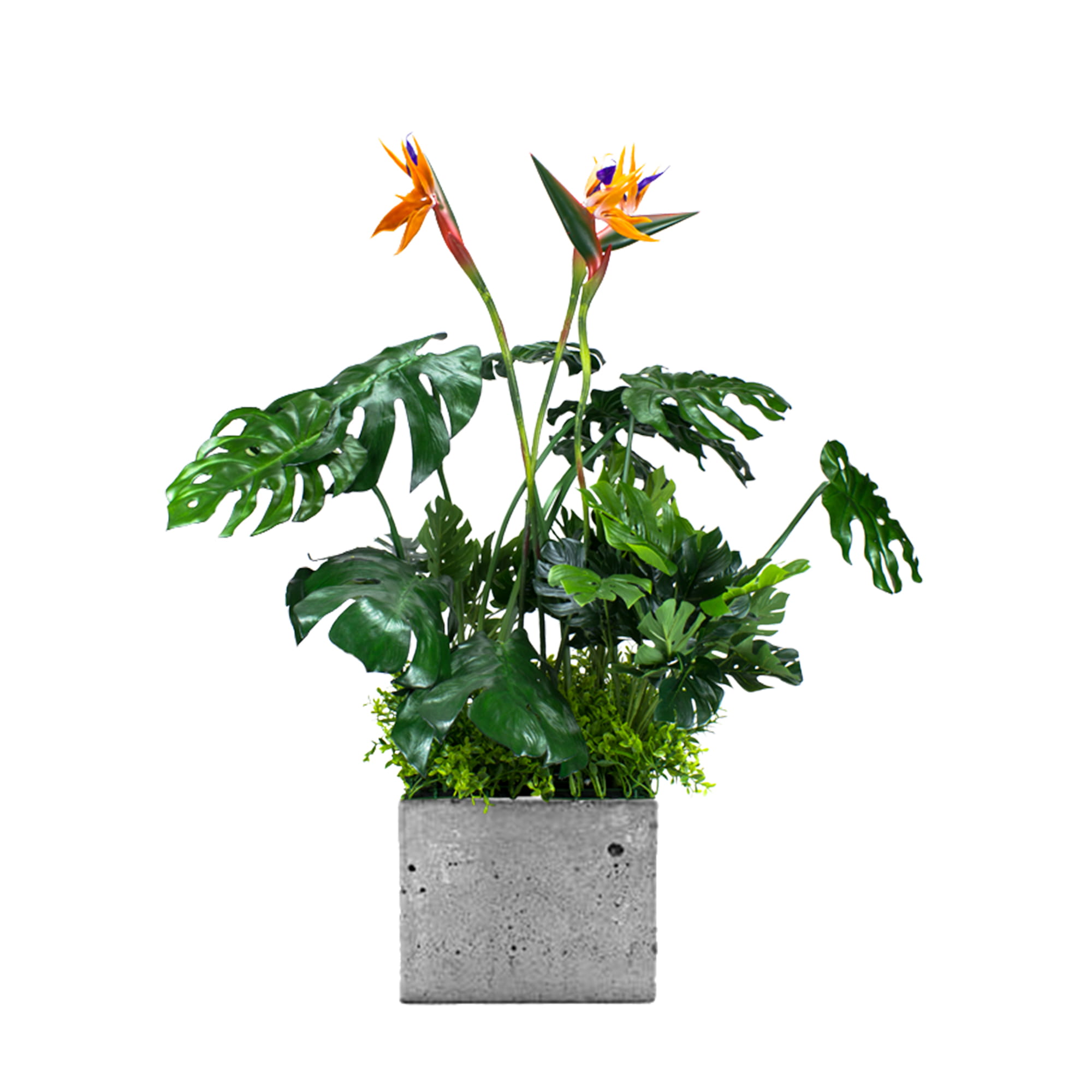 Insert végétal pour le pot Sunrise