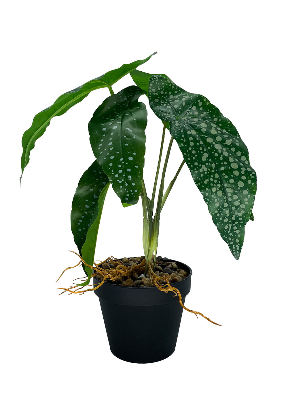 Plante Bégonia artificielle 26 cm – Green Designers