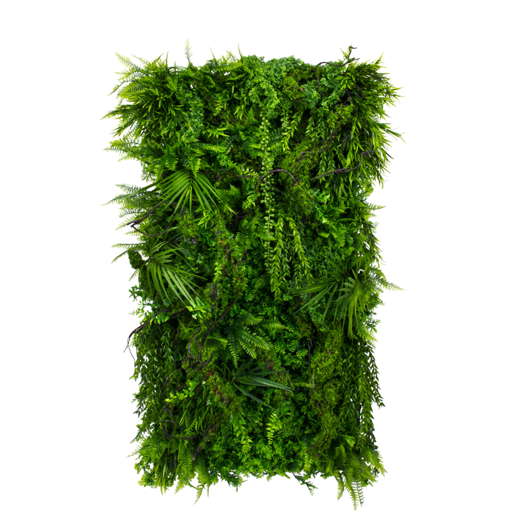 Jardin vertical de fleurs d’arbres – Green Designers