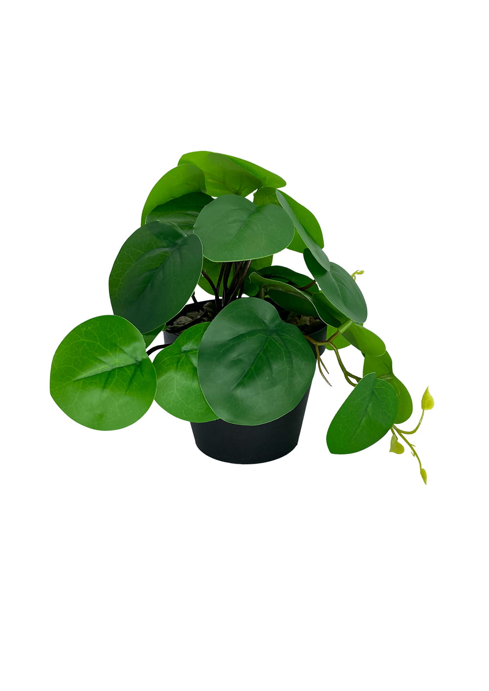 Plante Pilea artificielle 20 cm – Green Designers