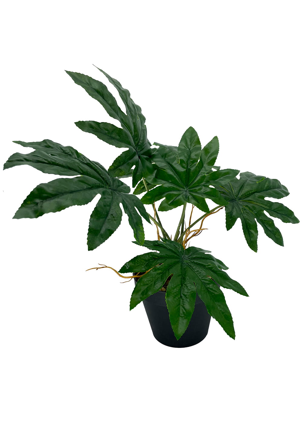 Plante Aralia artificielle 45 cm – Green Designers