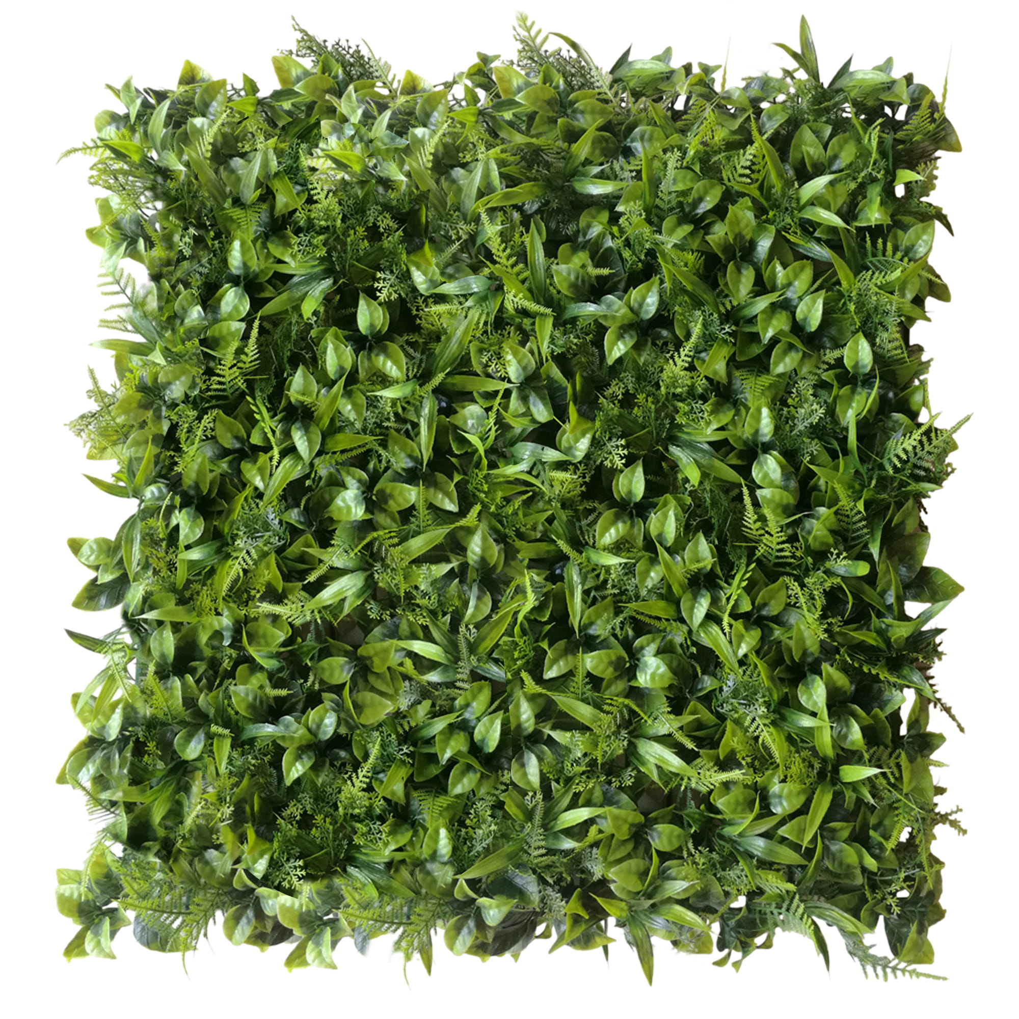 Mur végétal Peperomia 50x50cm