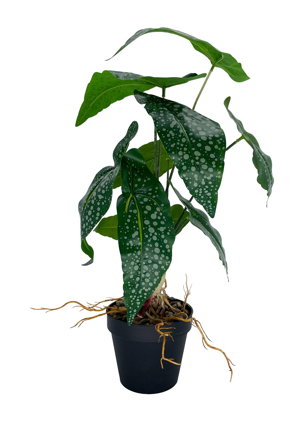 Plante Bégonia artificielle 35 cm – Green Designers