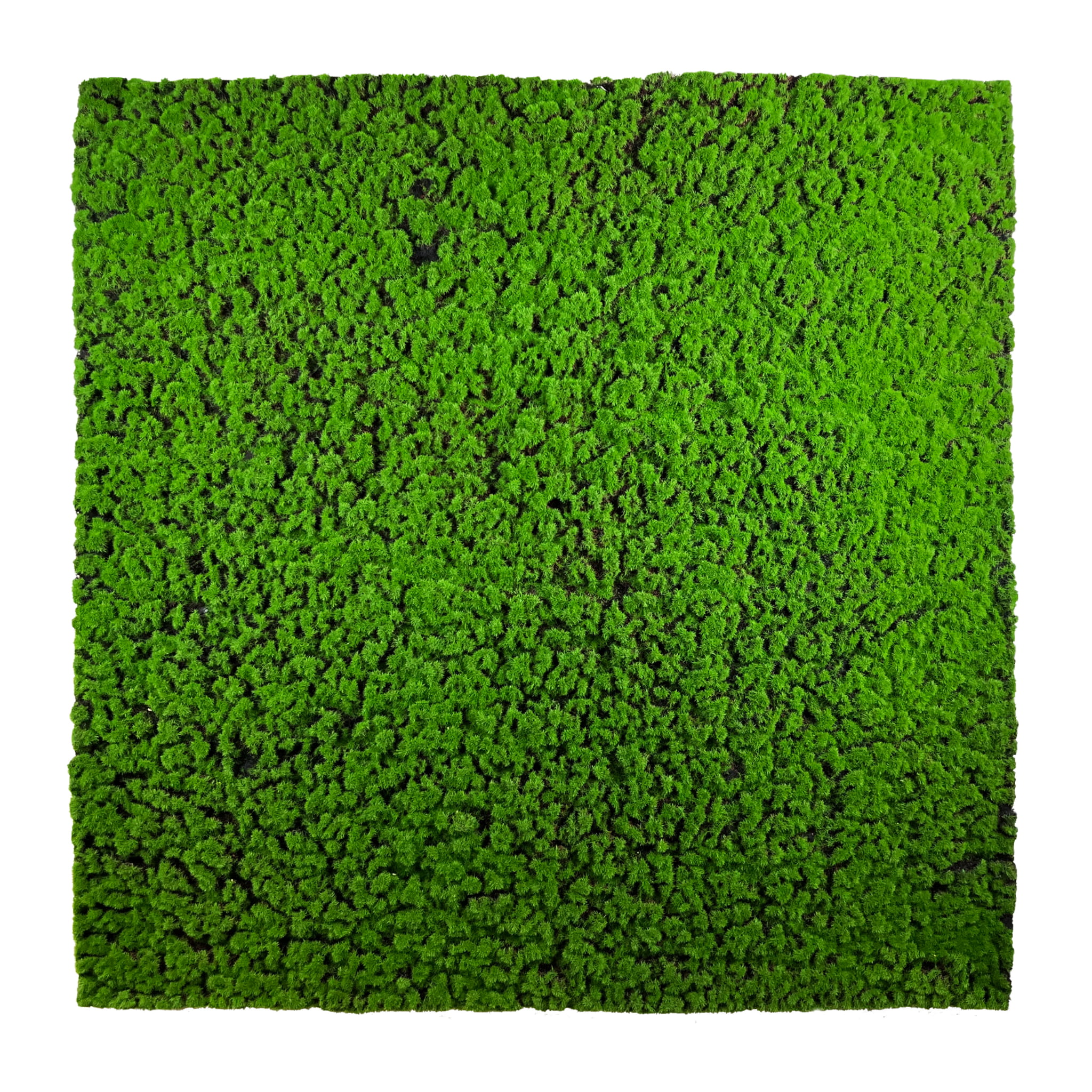 Mousse artificielle Chrobotek 100x100cm