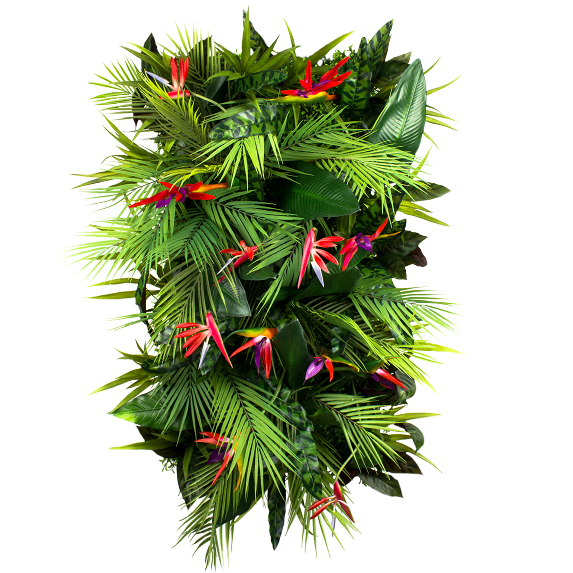 Jardin vertical fruit de la passion